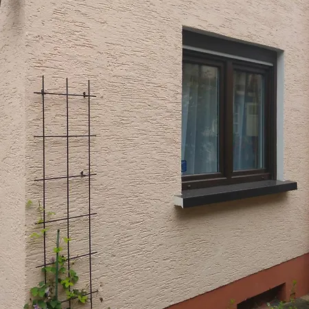 Apartment Rhein Main Hochheim am Main Pokój zdjęcie